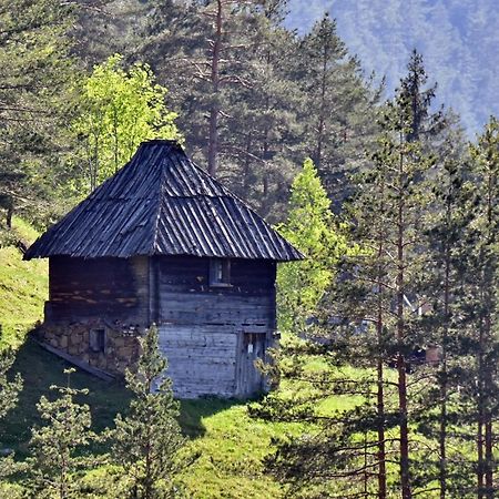 Sedmica Zlatibor Vip Bogic Apartamento Exterior foto